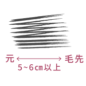元 毛先 5～6cm以上